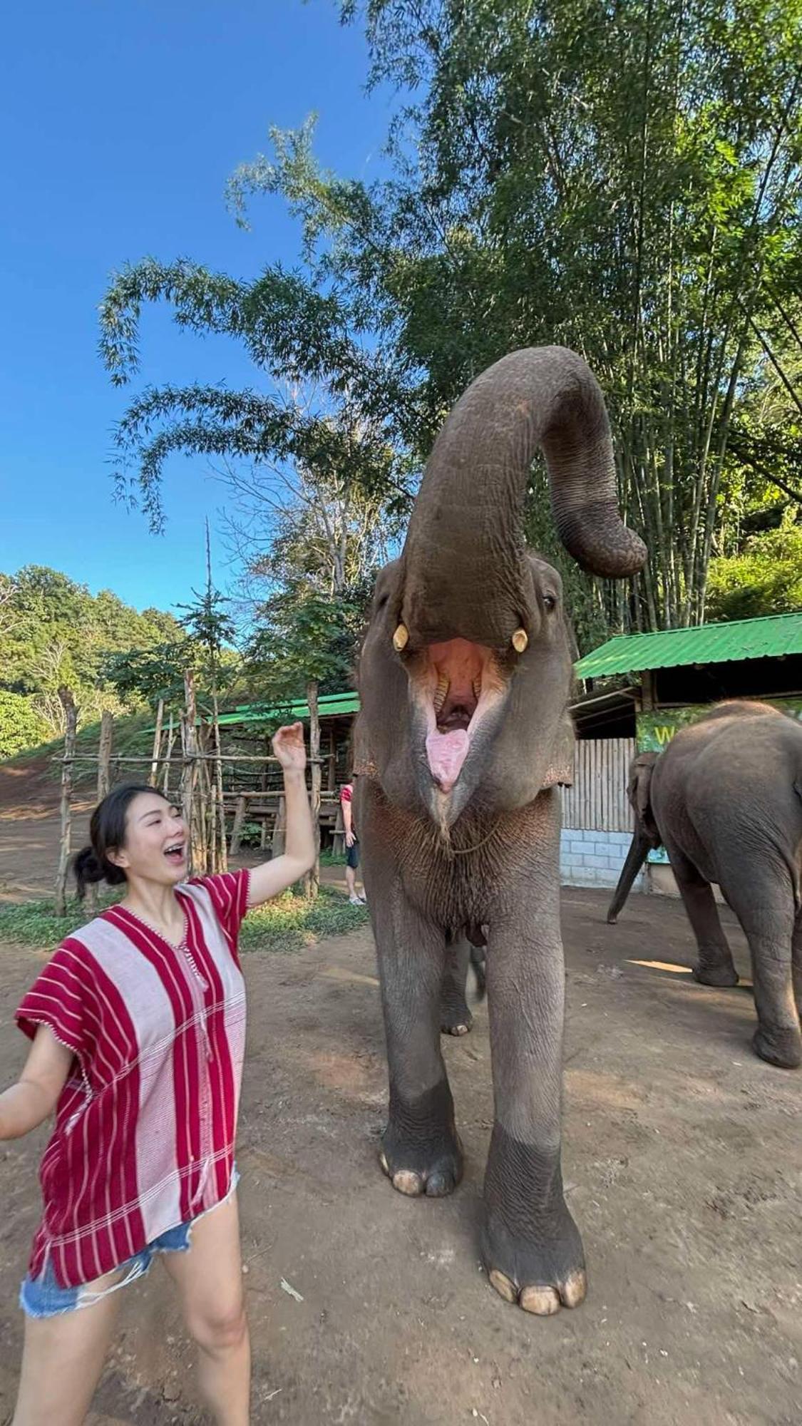 Yak Guesthouse Chiang Mai Eksteriør billede